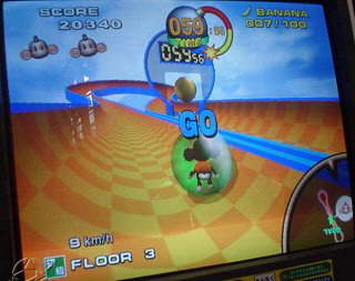 monkey~4.jpg (14922 Byte)